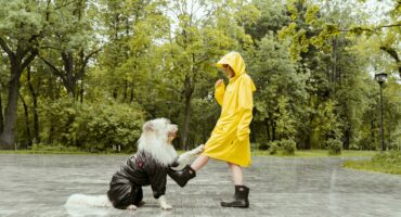 Passeggiate con il cane sotto la pioggia: consigli utili per i padroni