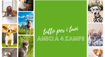 Scopri My Factory: nutrizione e cura per i nostri animali domestici